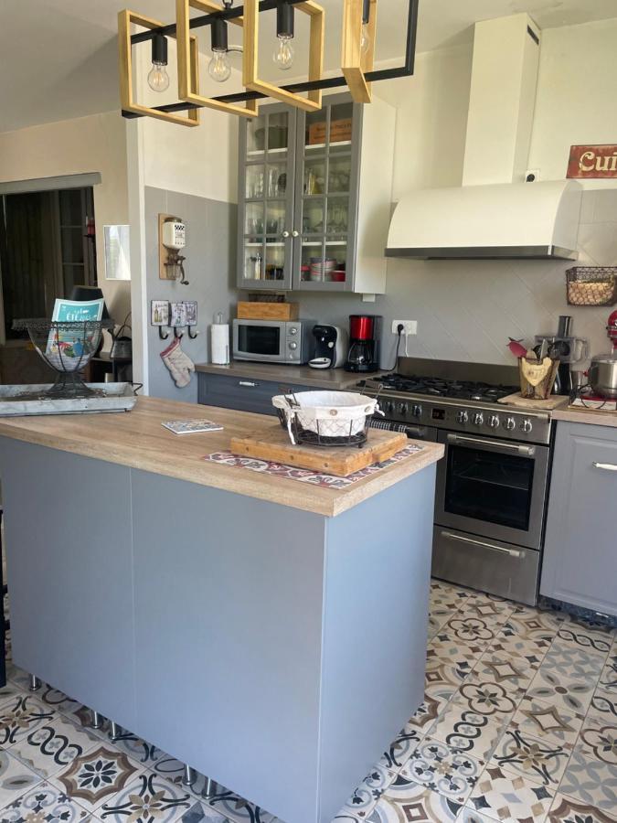 Appartement Avec Jardin En Ville L'Isle-sur-la-Sorgue Kültér fotó