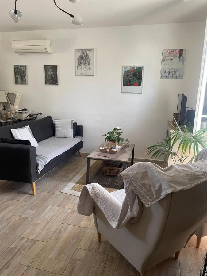 Appartement Avec Jardin En Ville L'Isle-sur-la-Sorgue Kültér fotó